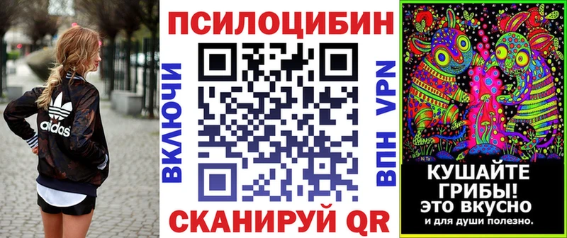 Псилоцибиновые грибы мухоморы  где продают наркотики  Брянск 